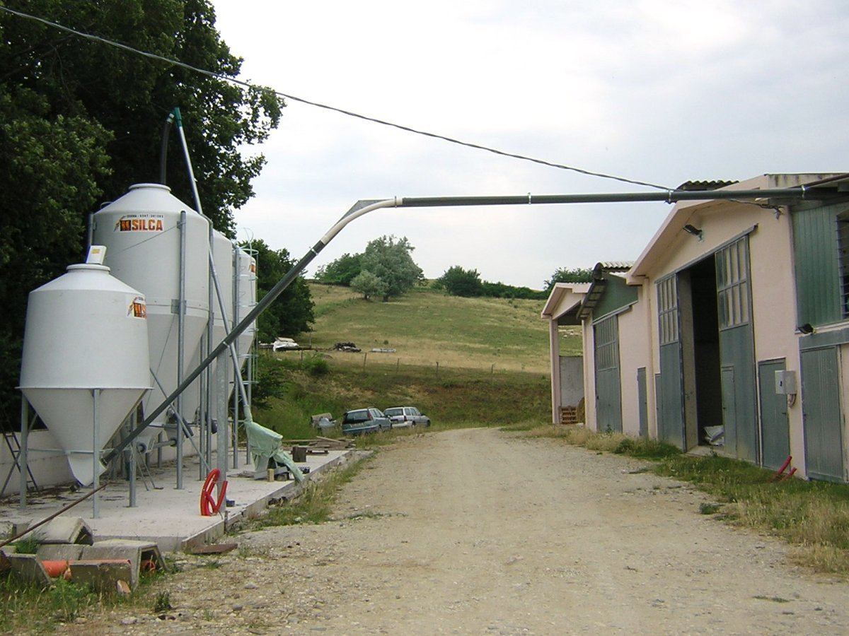 Silos per mangime con coclea di carico estrazione e trasporto prodotto